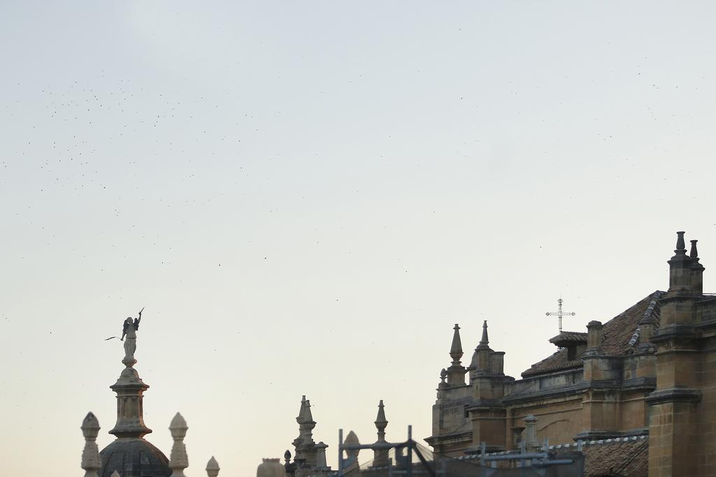 غرناطة Suites Gran Via Capilla Real المظهر الخارجي الصورة
